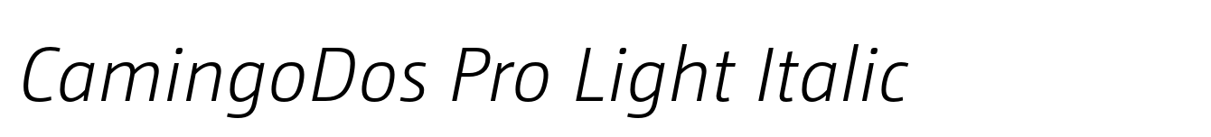 CamingoDos Pro Light Italic image